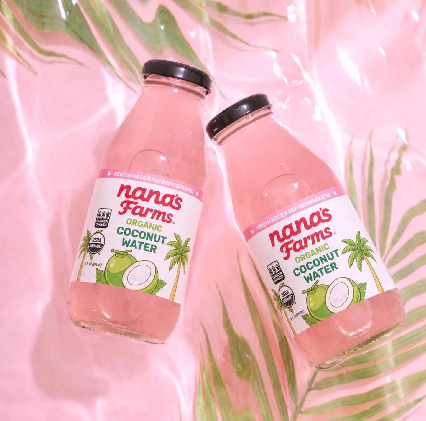 ORGANIC COCONUT WATER 10oz